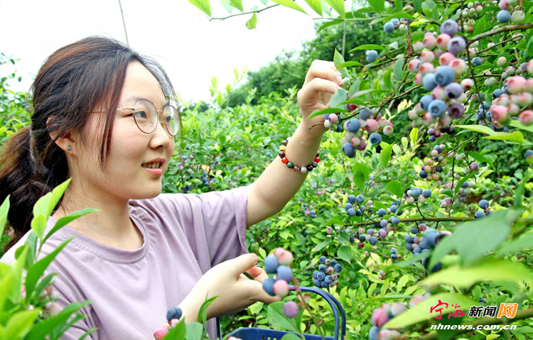 优化产业结构力促乡村振兴