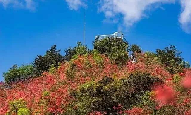 全国特色小镇：湖南省冷水江市禾青镇